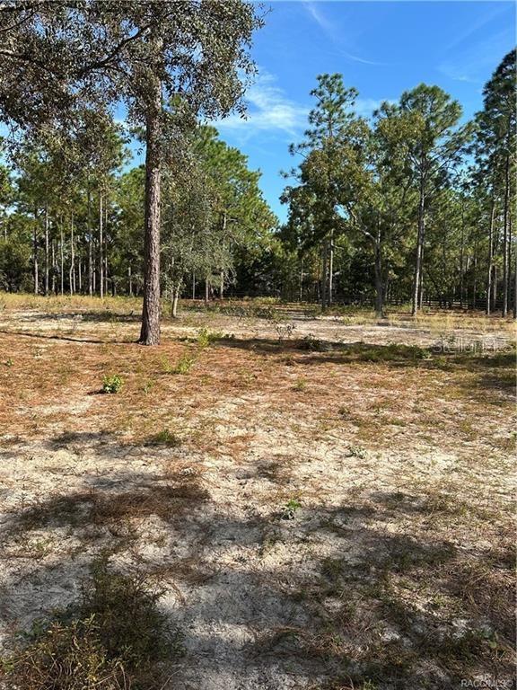 4295 North Bridge Road Beverly Hills, FL 34465 - Photo 71 of 79