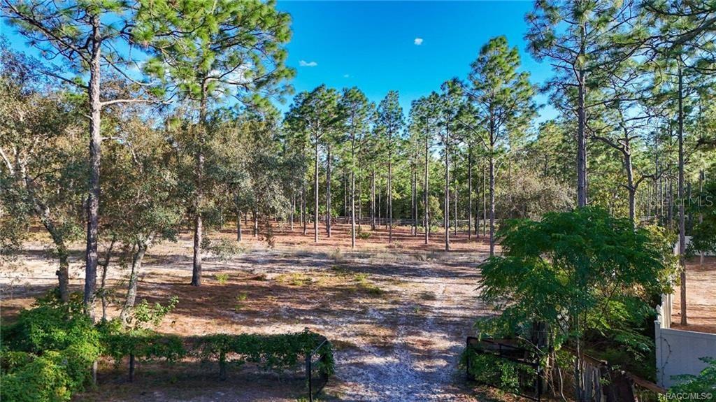 4295 North Bridge Road Beverly Hills, FL 34465 - Photo 75 of 79 a view of a yard with plants and trees