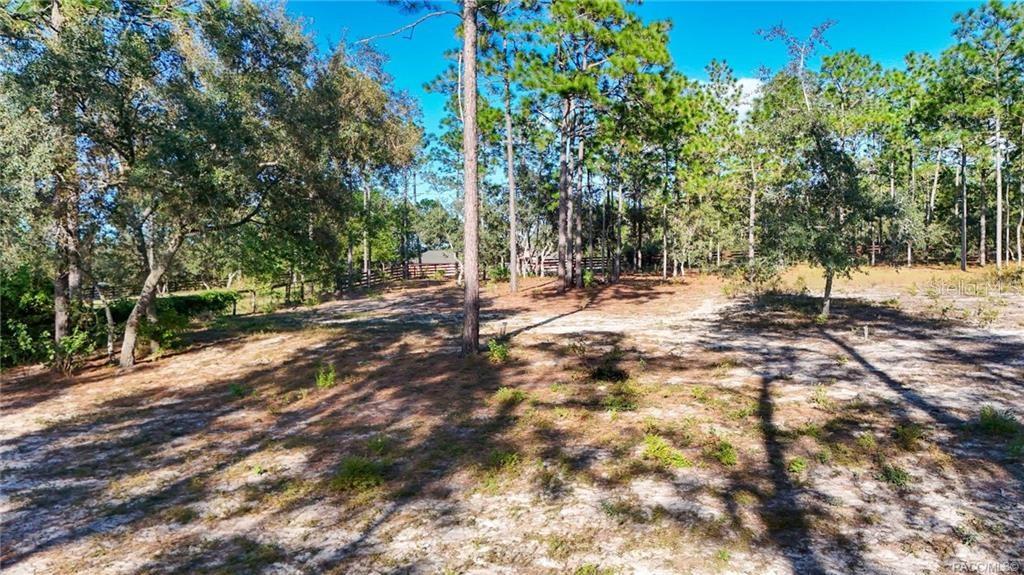 4295 North Bridge Road Beverly Hills, FL 34465 - Photo 77 of 79