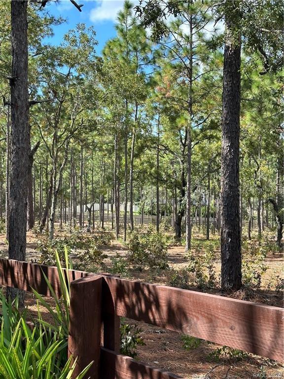 4295 North Bridge Road Beverly Hills, FL 34465 - Photo 79 of 79 a view of outdoor space with seating area