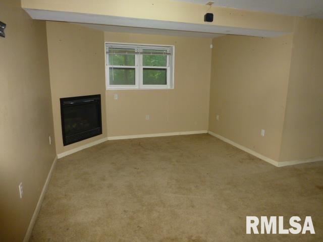 14361 Wilson Road Athens, IL 62613 - Photo 20 of 26