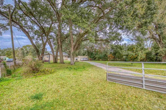 a view of backyard with green space