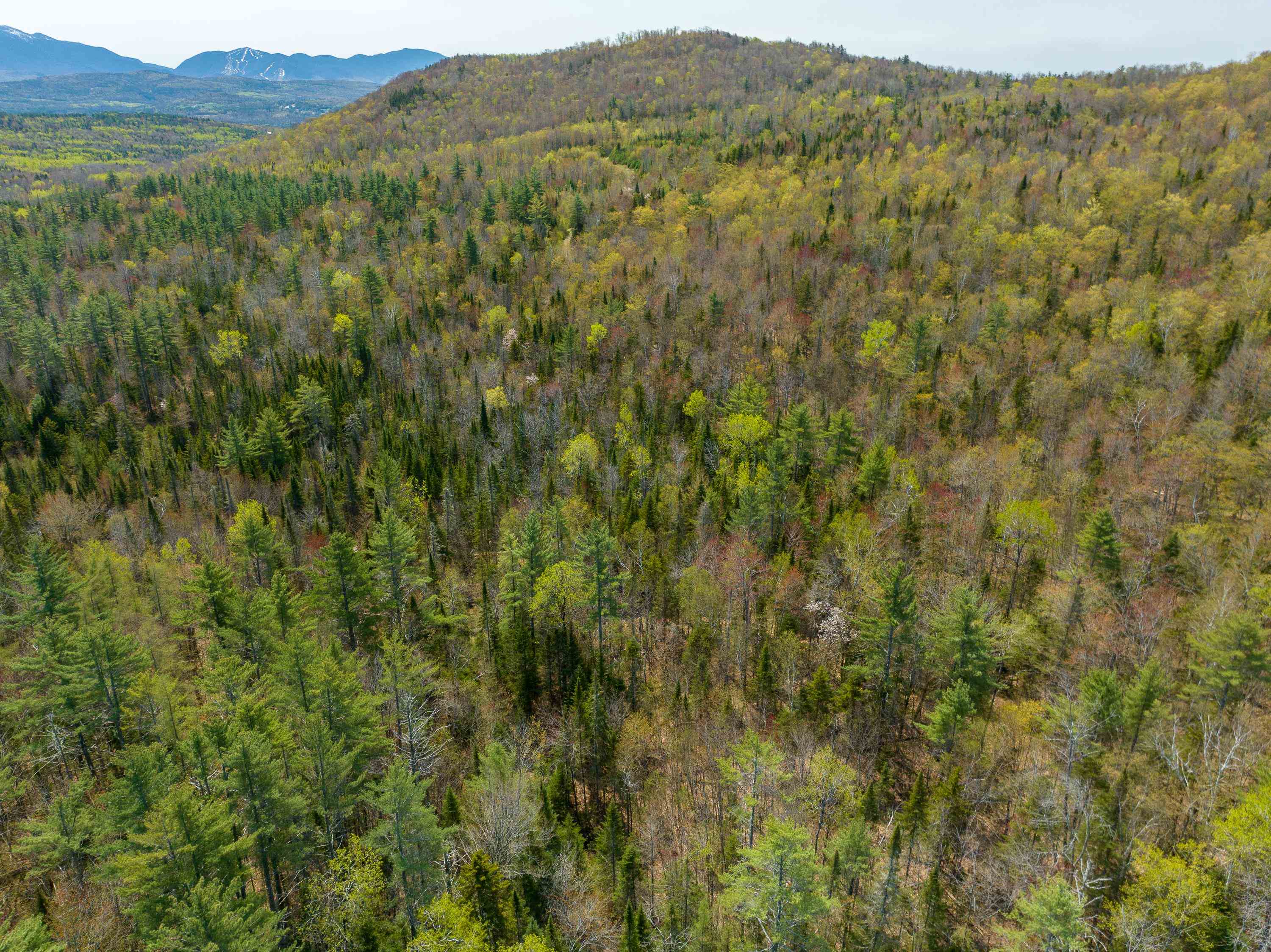 13 Broomstick Hill Road Littleton, NH 03561 - Photo 14 of 15