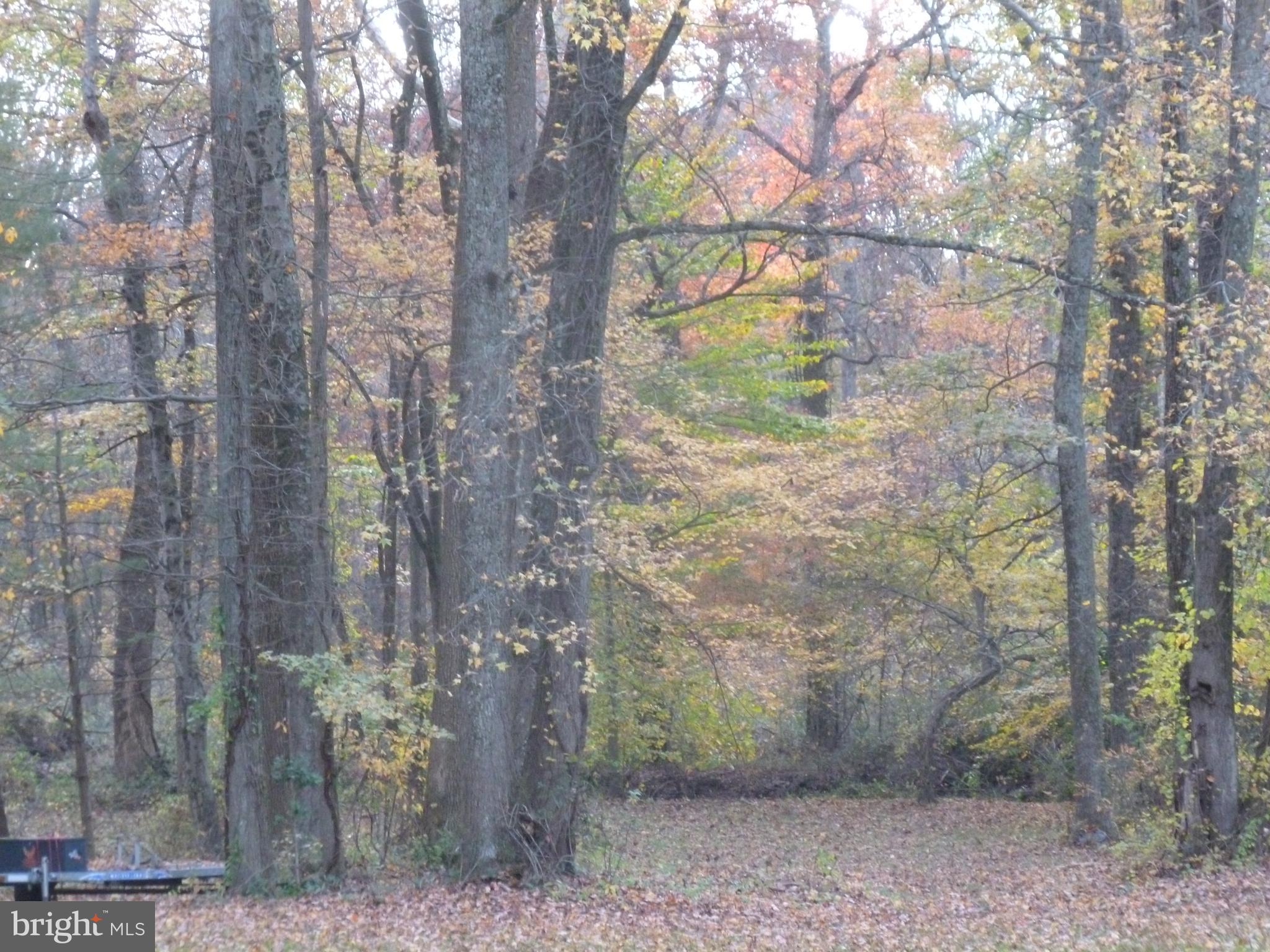 410 South Stepney Road Aberdeen, MD 21001 - Photo 24 of 25 Gallery Image 24