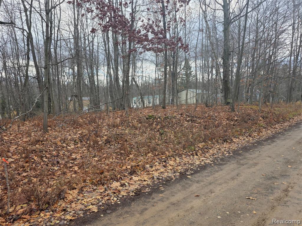 Vl Birch Road Evart, MI 49631 - Photo 2 of 8