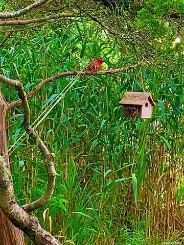 $32,000 | 30 Gale Avenue, Ocean Beach, NY 11770