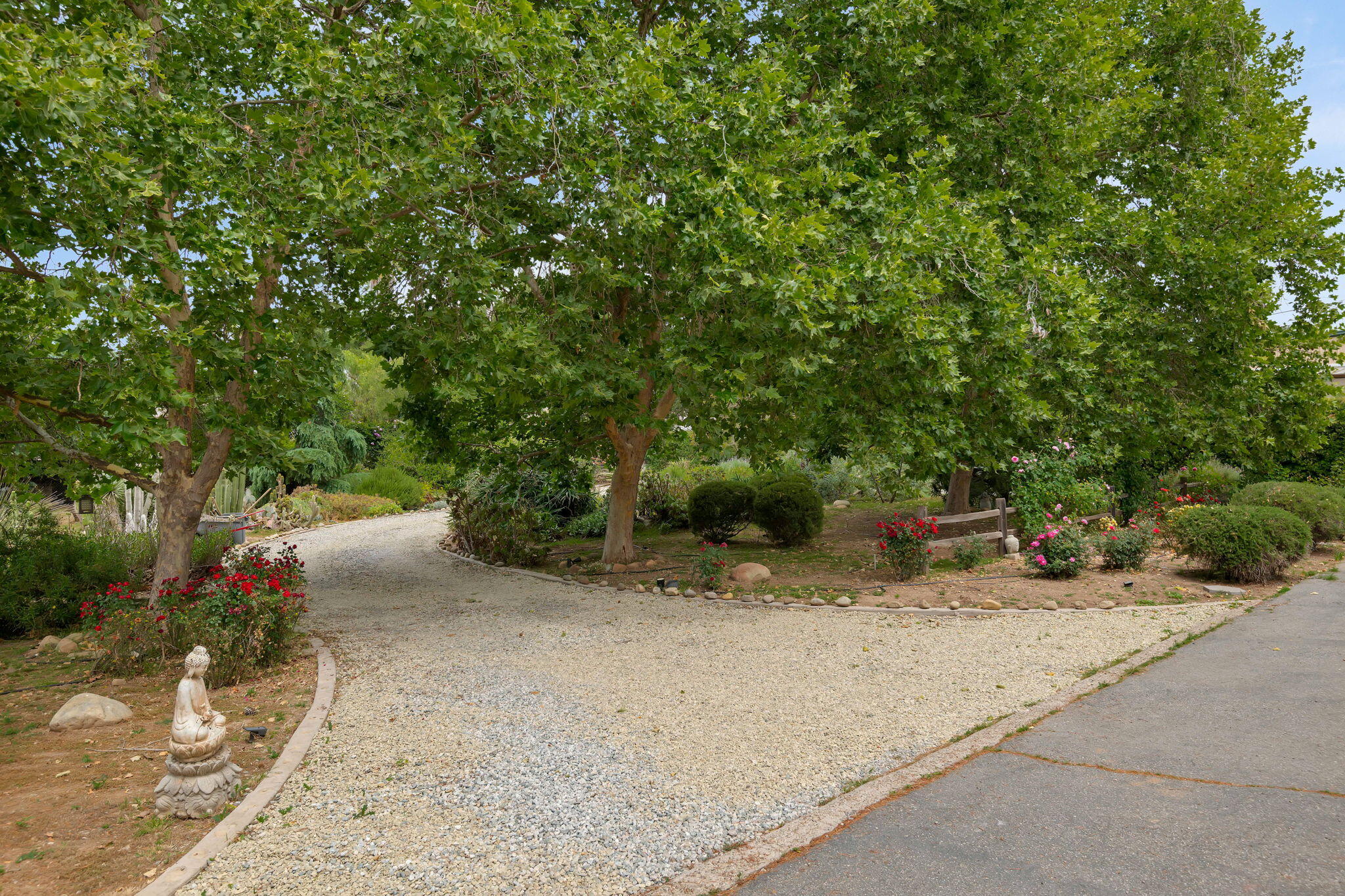 1442 South Rice Road Ojai, CA 93023 - Photo 42 of 54 52-Driveway & Gardens