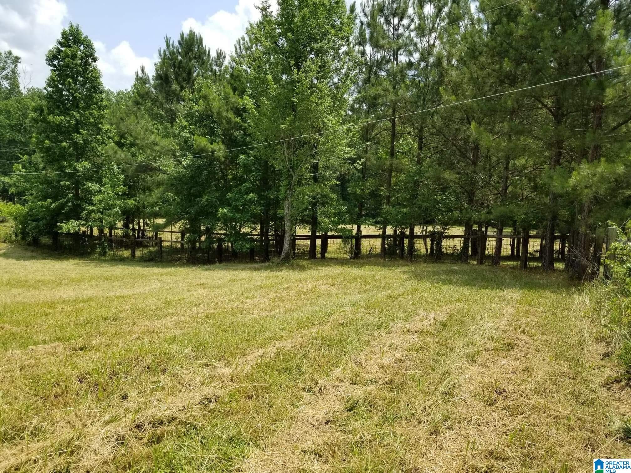 Honeycutt Road Remlap, AL 35133 - Photo 7 of 24
