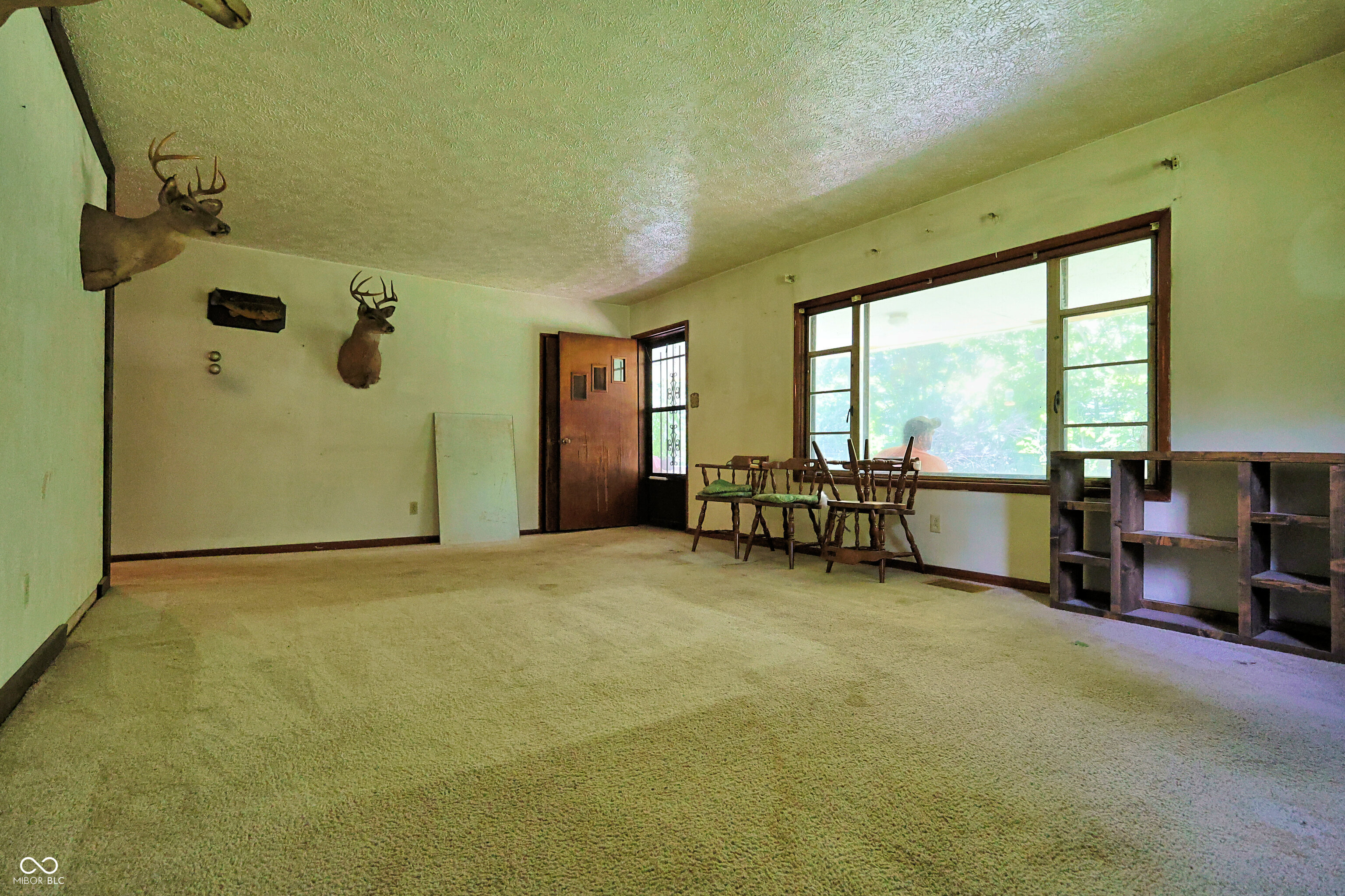 8317 Bean Blossom Road Trafalgar, IN 46181 - Photo 12 of 42