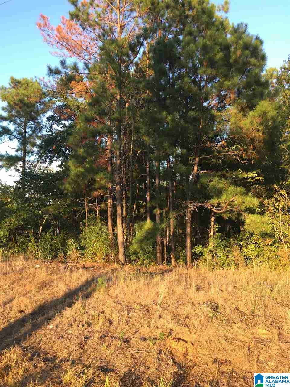 13135 Renfroe Road Alpine, AL 35014 - Photo 3 of 5