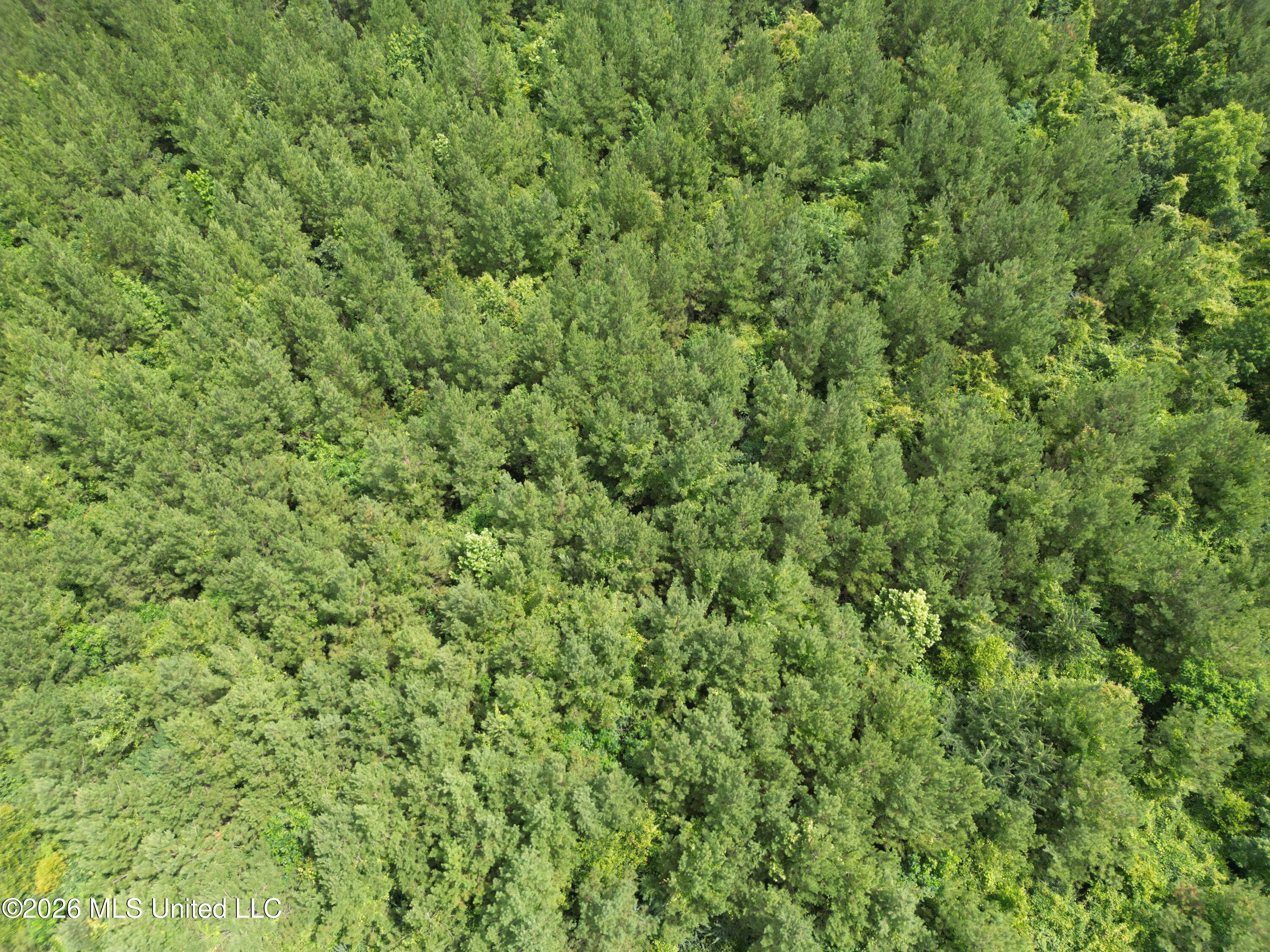 Summit Holmesville Road McComb, MS 39648 - Photo 16 of 29 DJI_0624