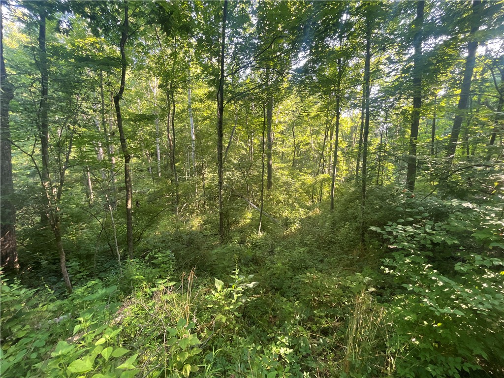 0 Stephen Young Road Camden, OH 45311 - Photo 10 of 57