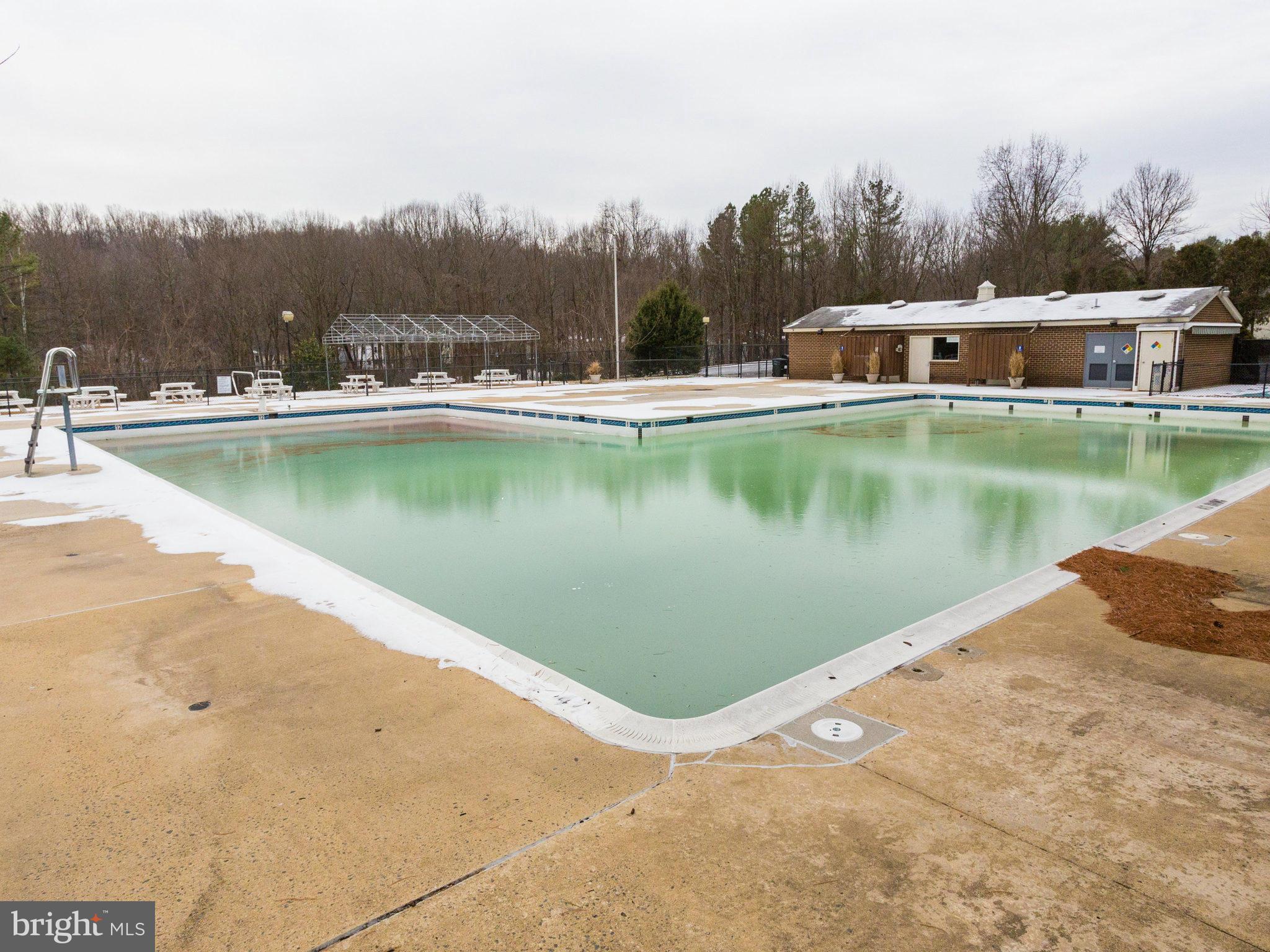 5457 Calvin Court Springfield, VA 22151 - Photo 27 of 30 Pool