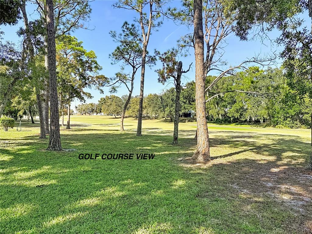 12924 Wedgewood Way, Unit D Hudson, FL 34667 - Photo 50 of 69 a view of a garden with trees