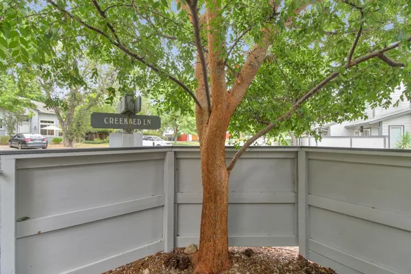 a outdoor space with a tree