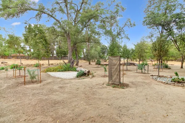 a view of a park with trees