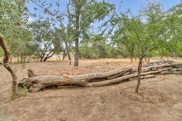 a view of a yard with an tree