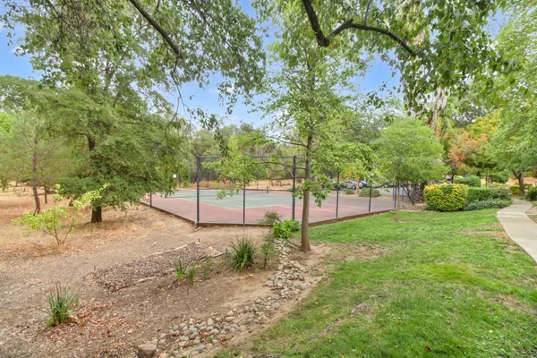 a view of a park with large trees