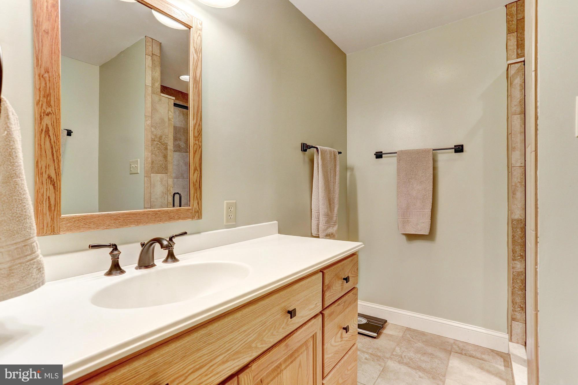 1096 Long Valley Road Westminster, MD 21158 - Photo 13 of 28 Bath (Master)