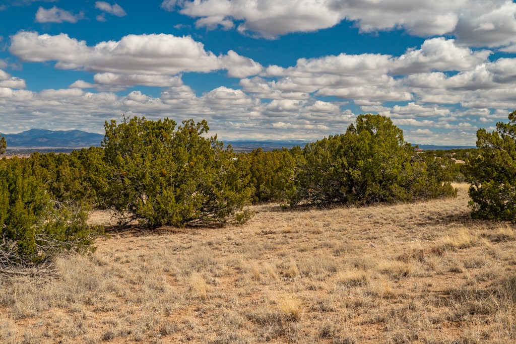 Tbd Hanuman Road Cerrillos, NM 87010 - Photo 13 of 33