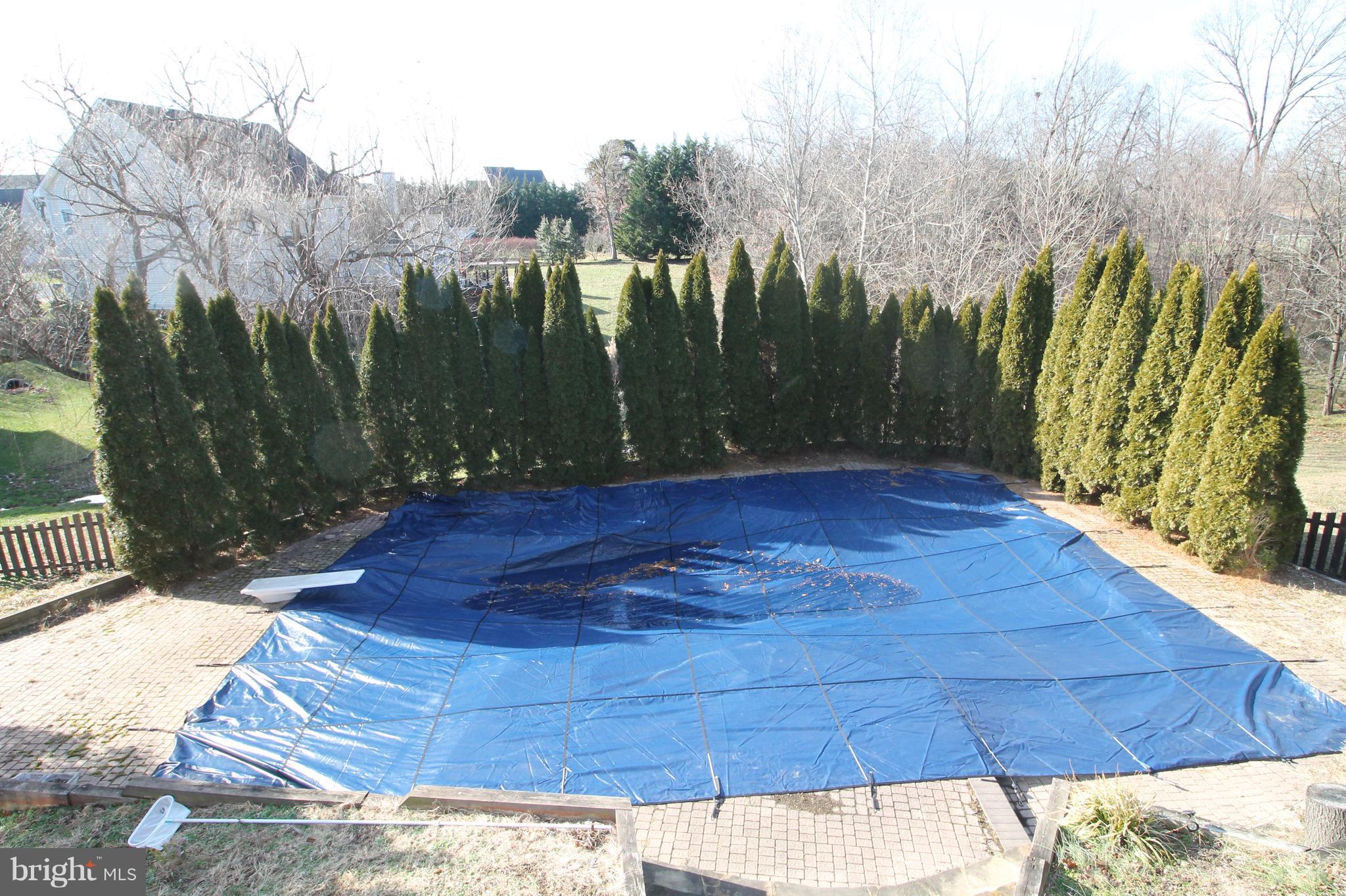 301 Huntersridge Road Winchester, VA 22602 - Photo 34 of 51 View of pool from the deck
