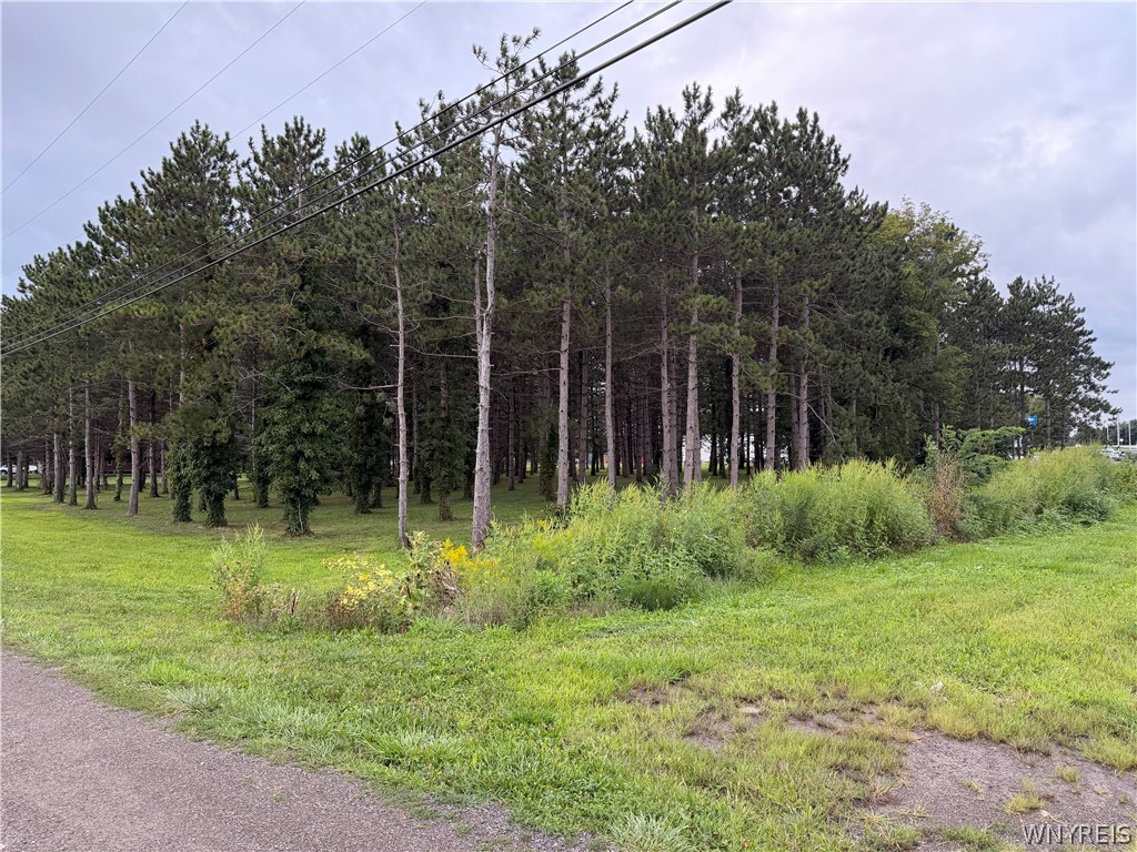 Milestrip Road North Collins, NY 14111 - Photo 8 of 13 Gallery Image 8