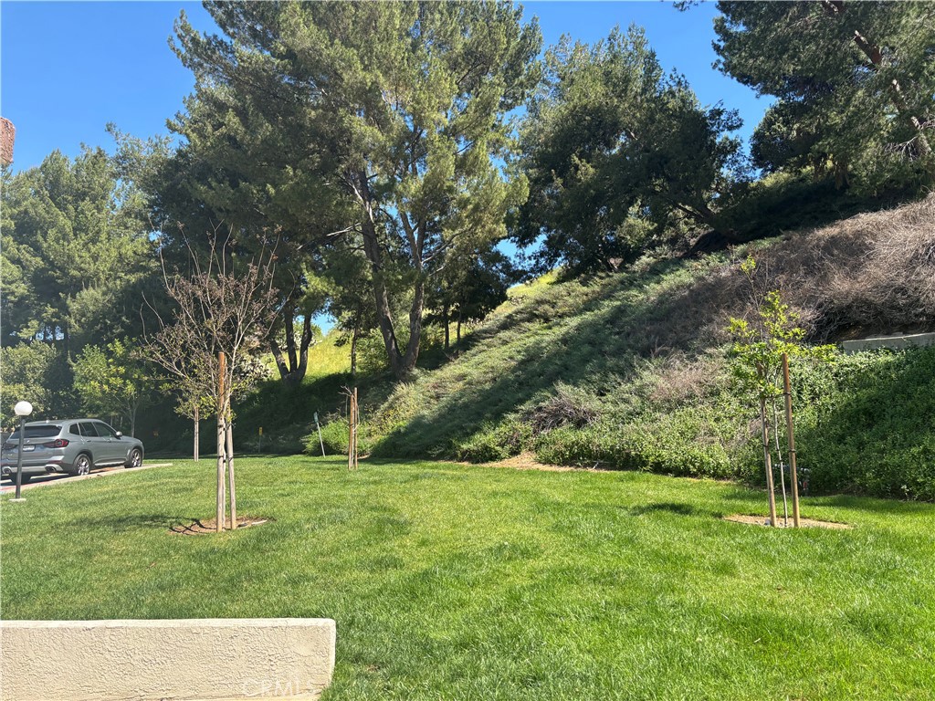 24320 Sylvan Glen Road, Unit E Diamond Bar, CA 91765 - Photo 20 of 20 a view of yard with green space