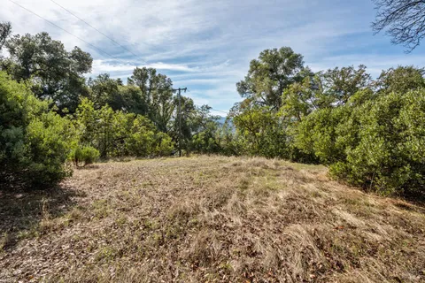 a view of a yard with a tree