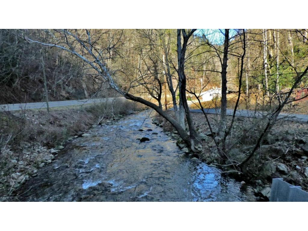 102 Edwards Road Flag Pond, TN 37657 - Photo 3 of 29 Photo 3