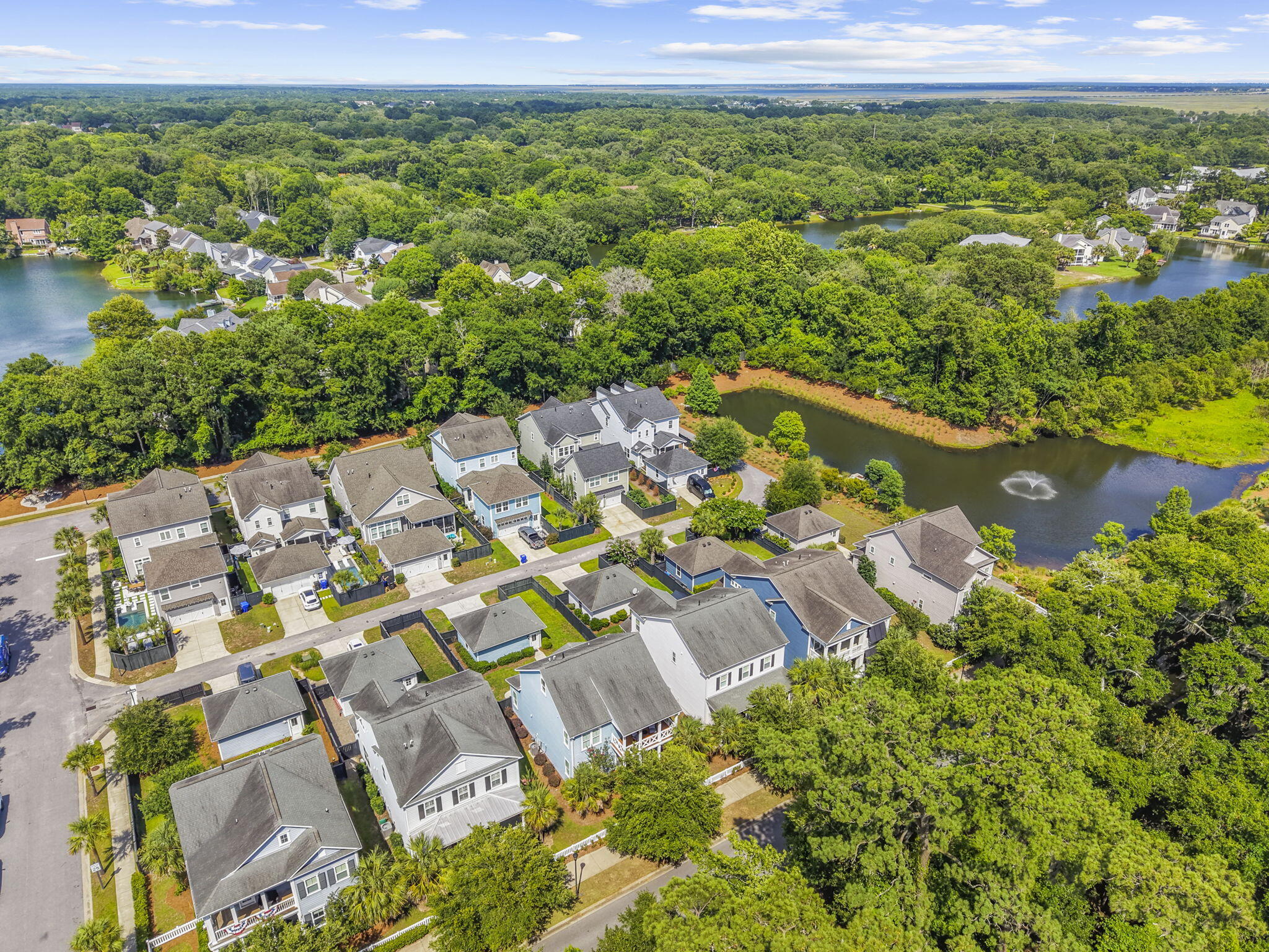 1372 Founders Way Mount Pleasant, SC 29464 - Photo 54 of 55 8-web-or-mls-DJI_20260622155149_0002_D