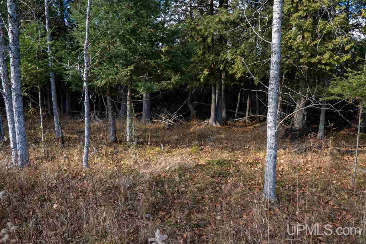 1378 Co Road Cornell, MI 49818 - Photo 20 of 22