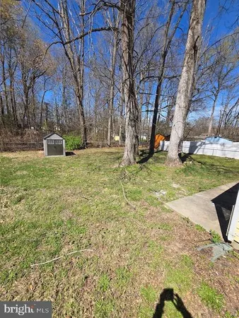 a view of a yard with large trees