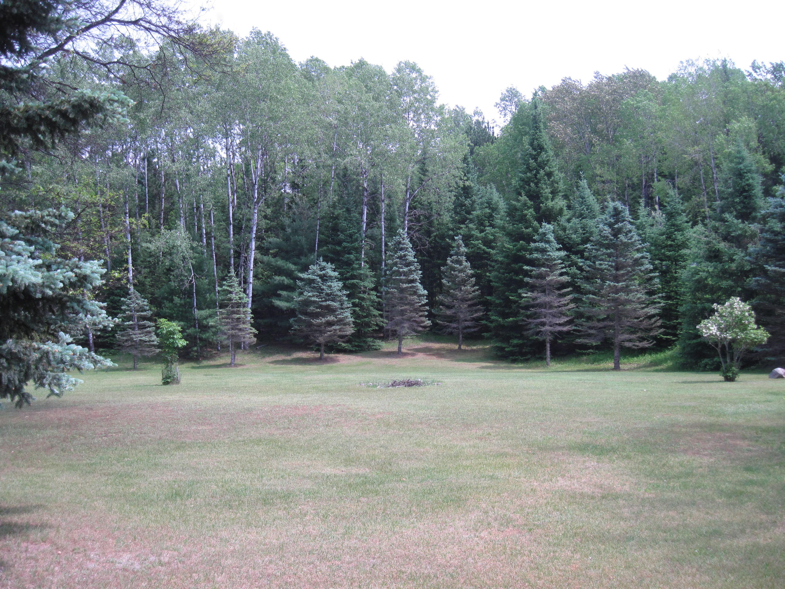 3250 Brown Cabin Road Luzerne, MI 48636 - Photo 16 of 40 Gallery Image 16