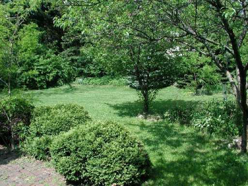 320 Frye Farm Road Greensburg, PA 15601 - Photo 2 of 8 Yard/Garden.
