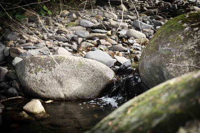 $565,000 | 75 Goodwin Mountain Lane, Westmore, VT 05860