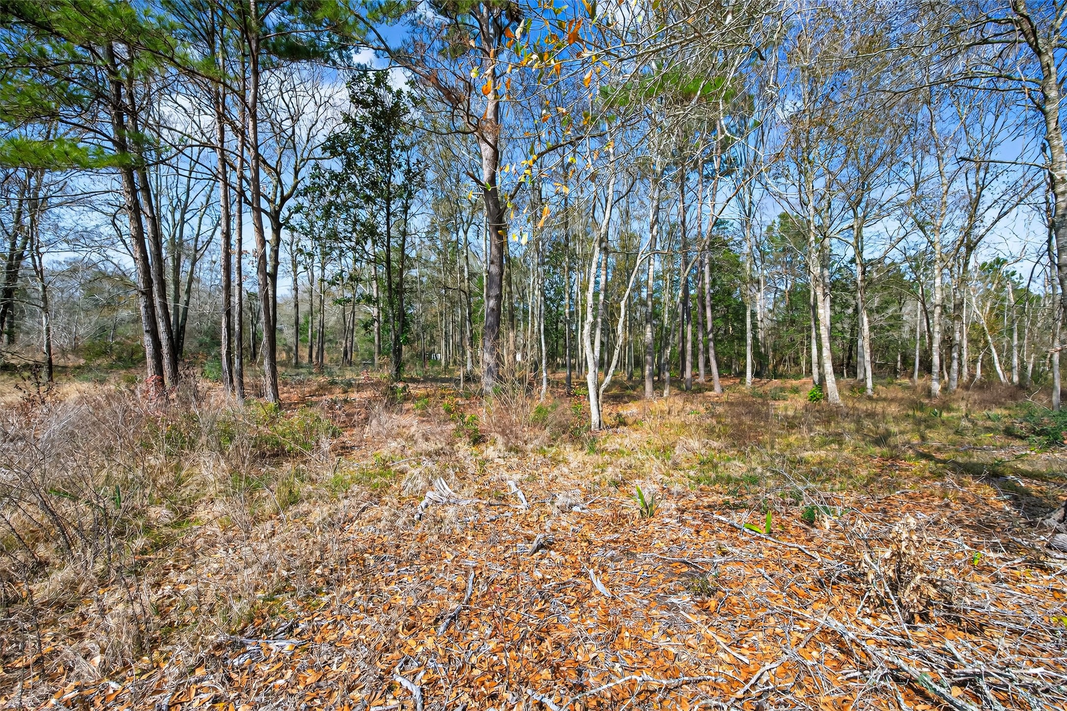 140 Marie Street Shepherd, TX 77371 - Photo 40 of 44