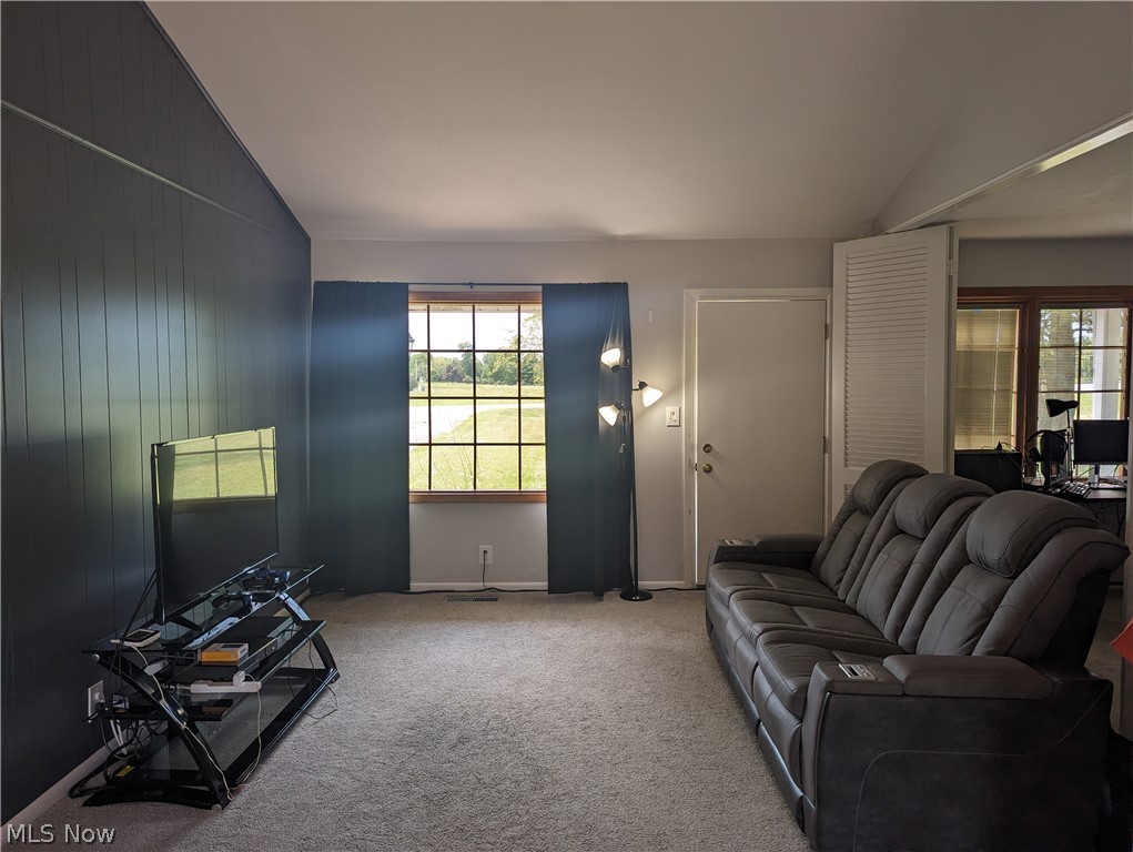 12781 Caves Road Chesterland, OH 44026 - Photo 5 of 28 Carpeted living room with vaulted ceiling