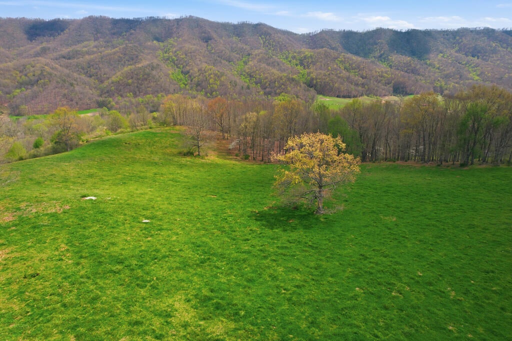 4020 Freestone Valley Road Tannersville, VA 24377 - Photo 51 of 109 Gallery Image 51