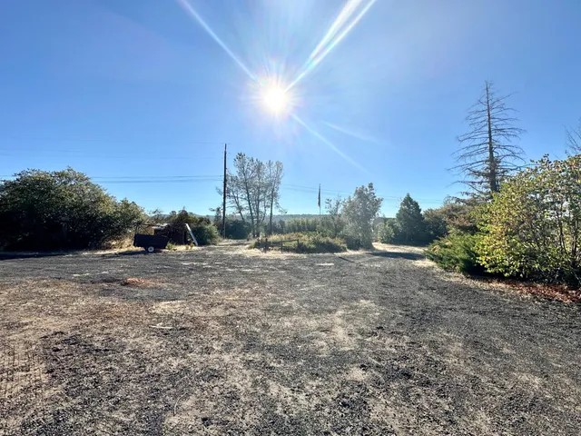 a view of a yard and trees