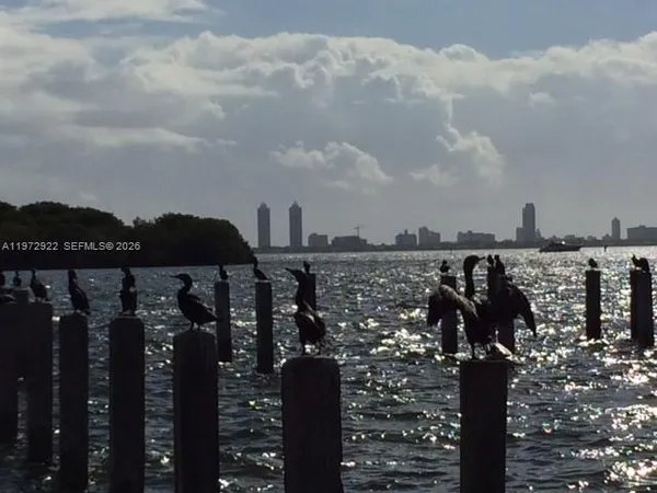 a view of swimming pool with a roof deck