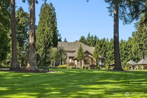 a view of a park with large trees