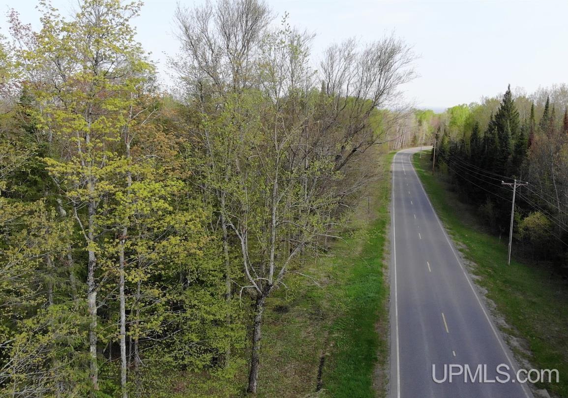 Tbdfg Dog Patch Road, Unit LOT F AND G Lanse, MI 49946 - Photo 4 of 17
