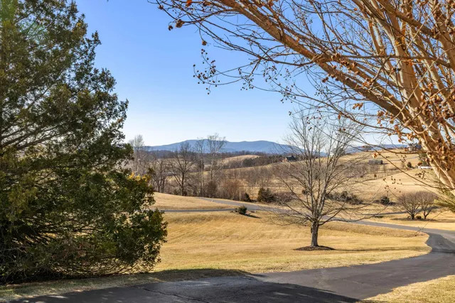 a bathroom with a shower curtain