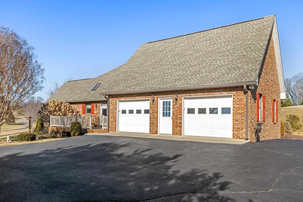 a view of road with large trees