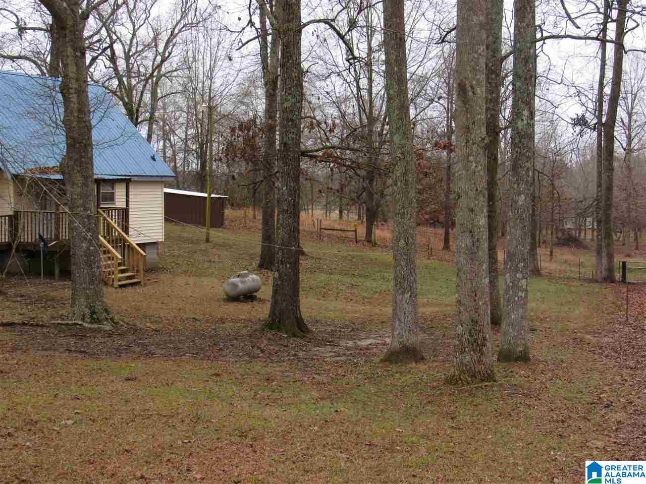 190 County Road 484 Clanton, AL 35046 - Photo 8 of 45