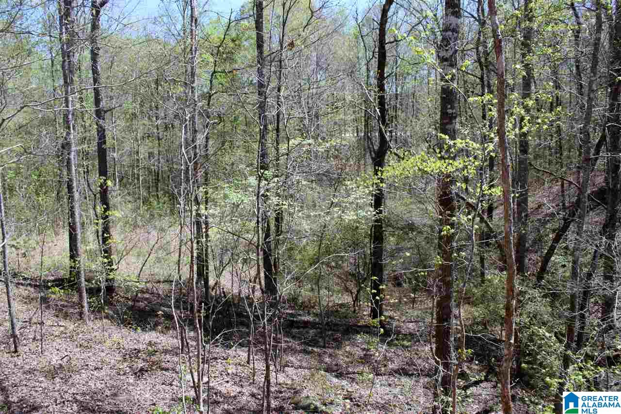 121 Highland Ridge Drive Chelsea, AL 35043 - Photo 34 of 37