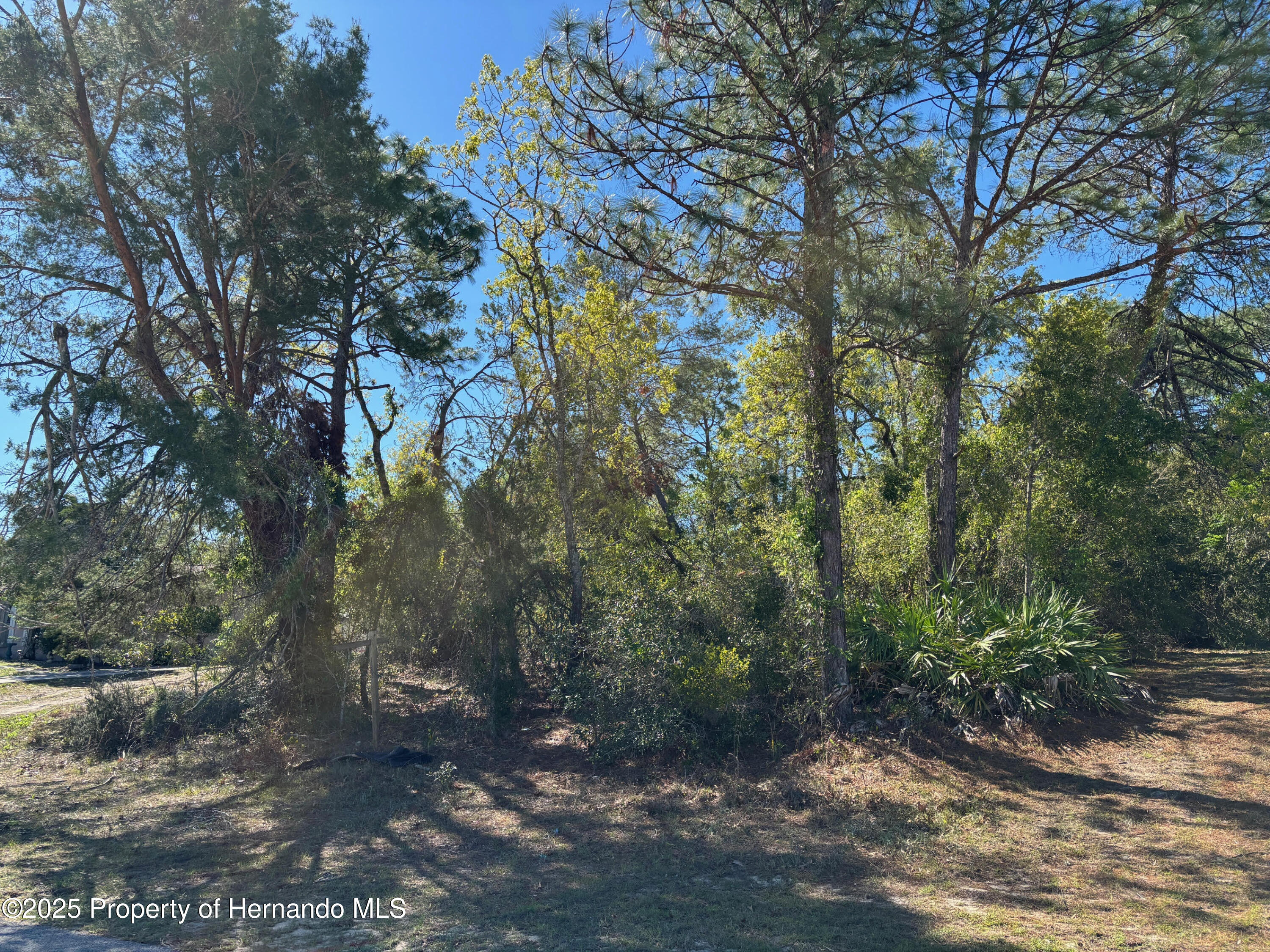 Lot 16 Pendleton Street Spring Hill, FL 34609 - Photo 4 of 6
