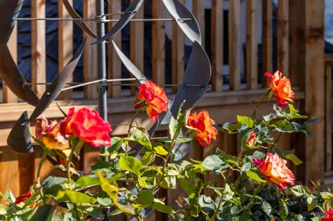 a view of a outdoor space