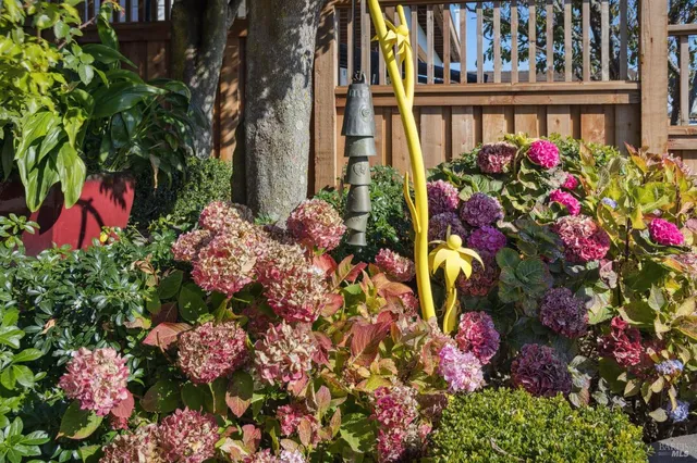 a picture of flowers