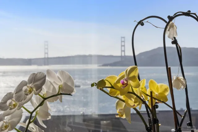 a view of swimming pool with furniture